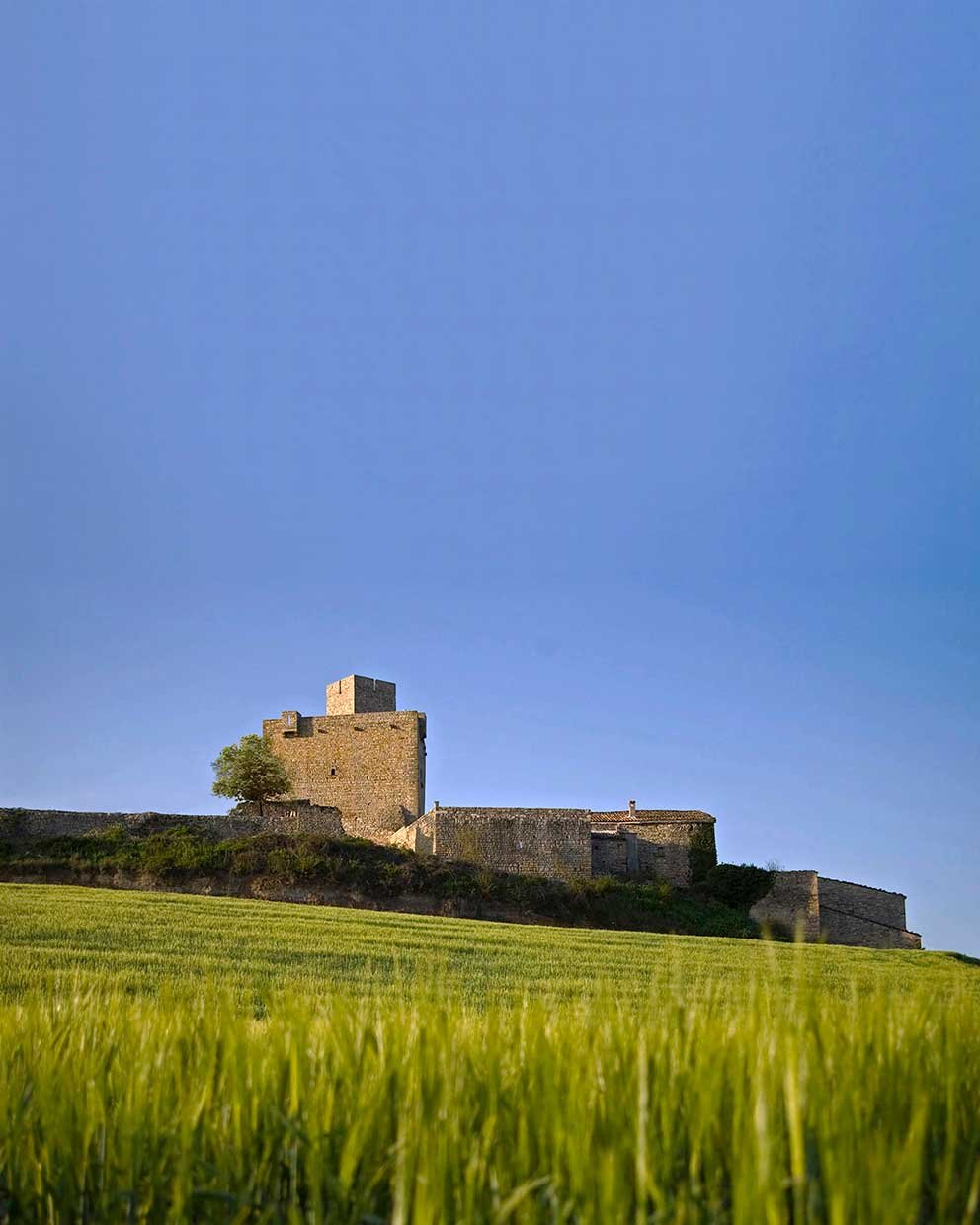 CASA TF, Rehabilitació Patrimonial a Cervera