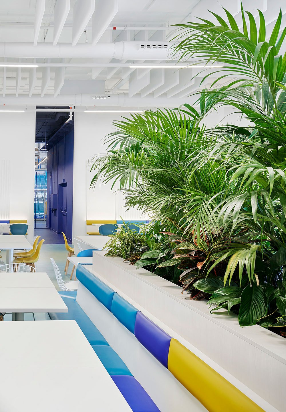 KIDOM RESTAURANT, Arquitectura Comercial